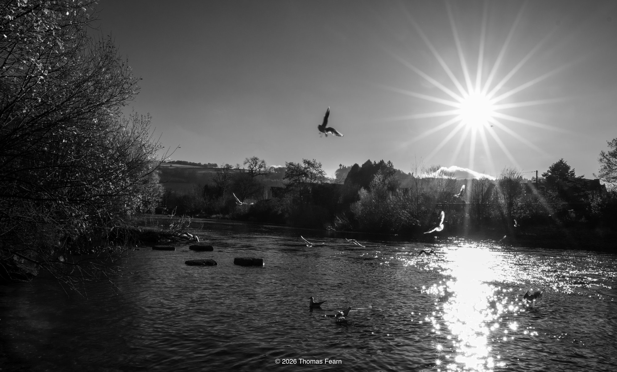 Black and White River Landscape with Dramatic Sunburst Rays over Flowing Water